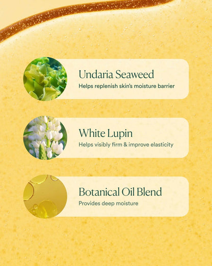 OSEA Undaria Algae Body Oil 5 oz – Visibly Firming, Deeply Moisturizing, Instantly Improve Elasticity, Clean Lightweight Non-Greasy Hydration, Vegan & Cruelty-Free Seaweed Skincare